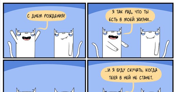 С др Мем кот