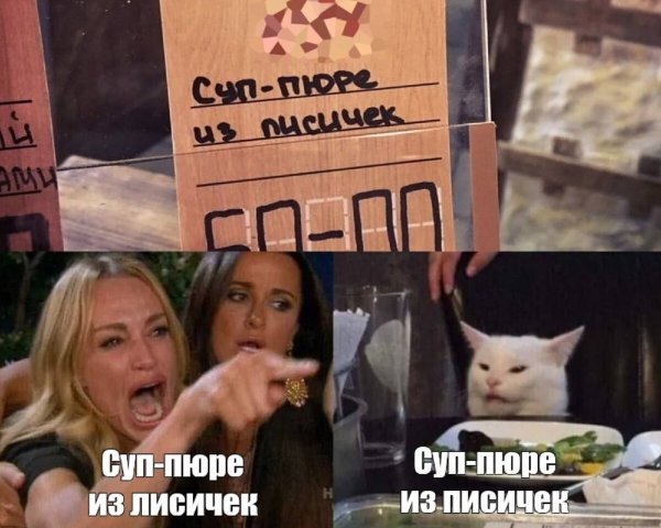 Мем с котом и девушками