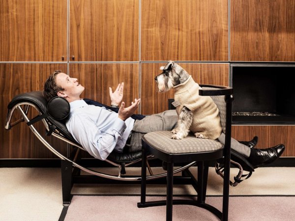 Стресс у собаки