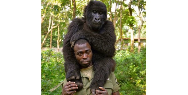 Африканцы похожие на обезьян