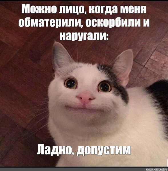 Лицо кота Мем