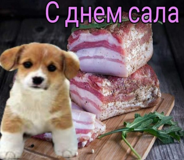 День сала