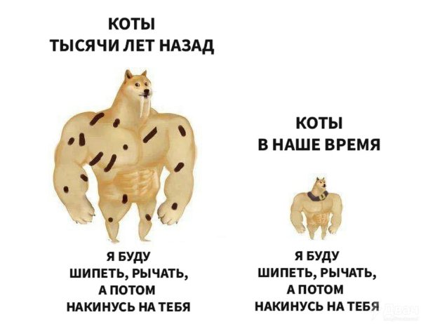 Собаки 300 лет назад