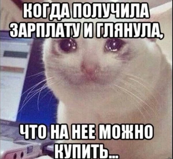 Мемы про зарплату