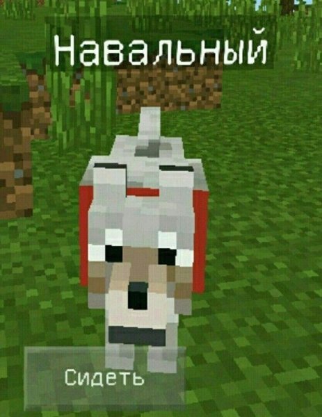 Мемы про майнкрафт