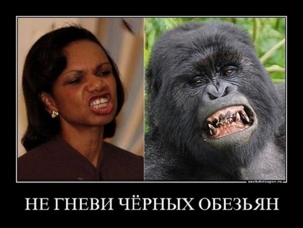 Негр похожий на обезьяну
