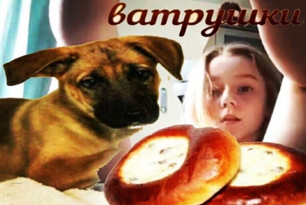 С днем ватрушки