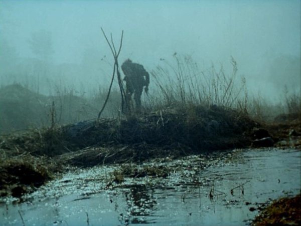 Трясина болота собака Баскервилей