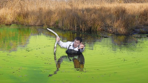 Фотосессия в болоте