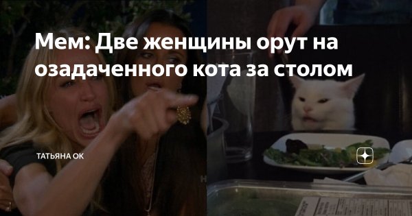 Мем женщина и кот за столом