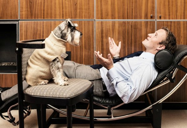 Домашние животные и человек