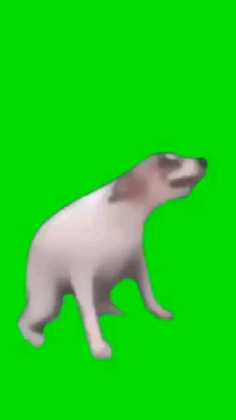 Србака на зелëном фоне