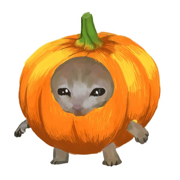 Кот в костюме тыквы