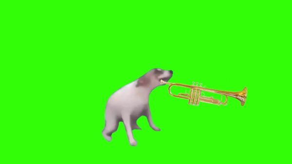 Собака хромакей