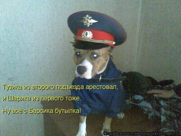 Собака в форме