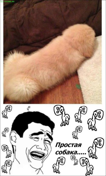 Рисунки мемов