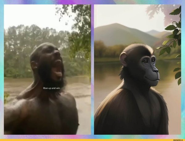 Негр обезьяна