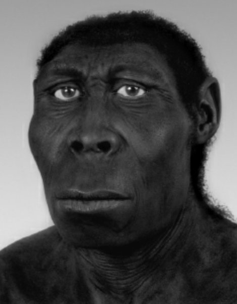 Негры макаки