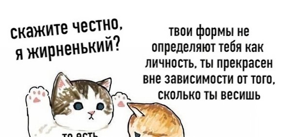 Котик штош жирненький