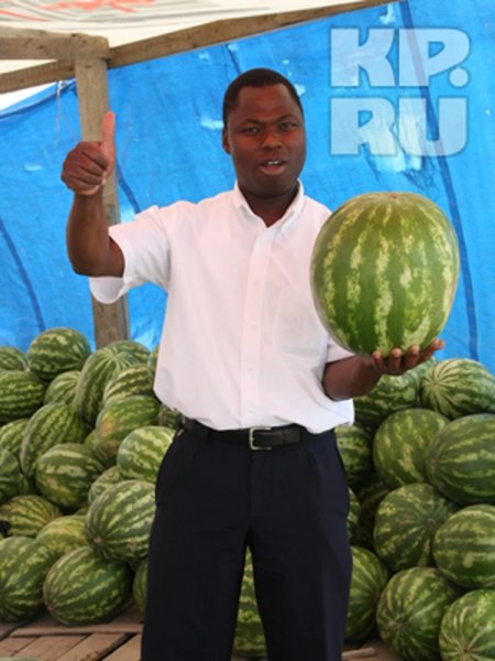 Жоаким (Василий) Крима