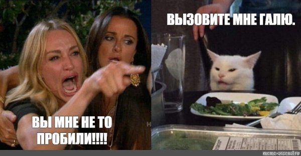 Мем с котом за столом