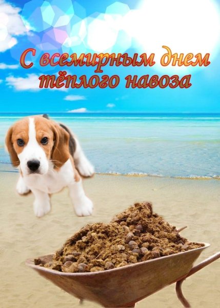 С днем теплого навоза