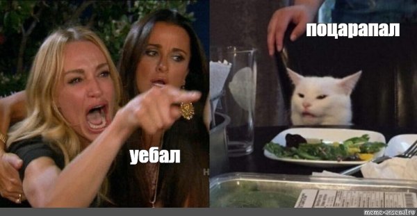 Мем с котом и девушками за столом