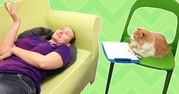 Собака психотерапевт