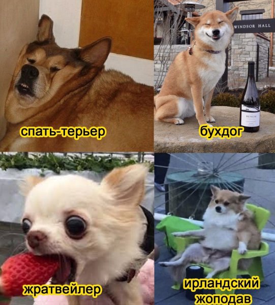 Пролдж лдээдж