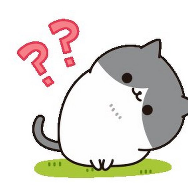 Вопросы про кошек