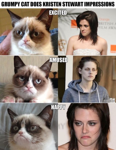 Grumpy Cat Мем
