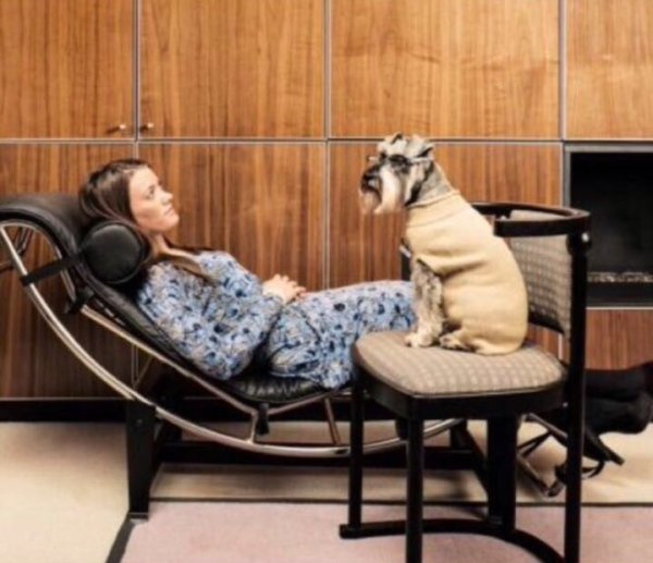 Собака психотерапевт