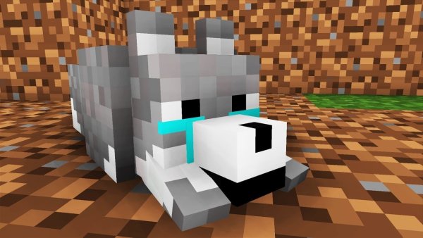 Волк майнкрафт