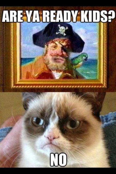 Хмурый кот Мем