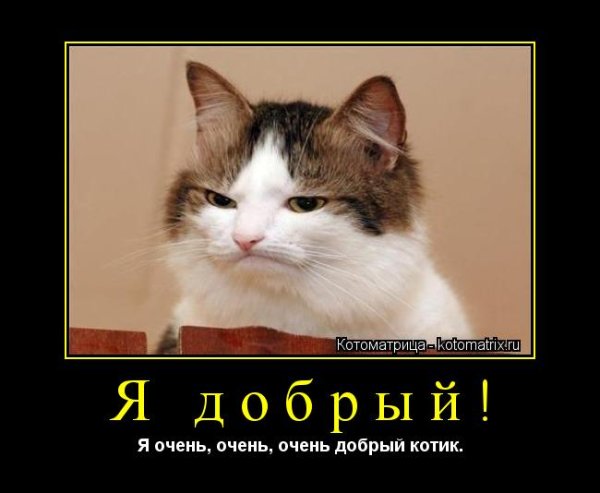 Мемы про доброту