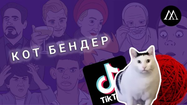 Кот Бендер тик ток