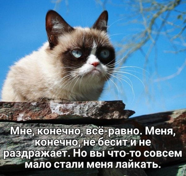 Радуюсь весне приколы