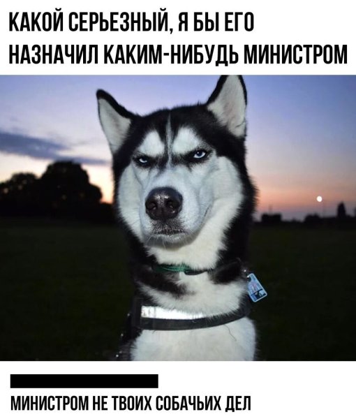 Я бы его министром назначил