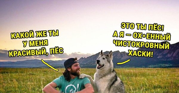 Сам ты пес Мем