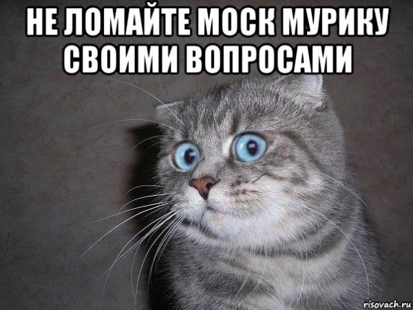 Картинки Мурик