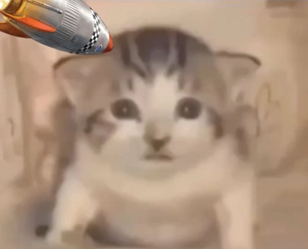 Котик взрыв