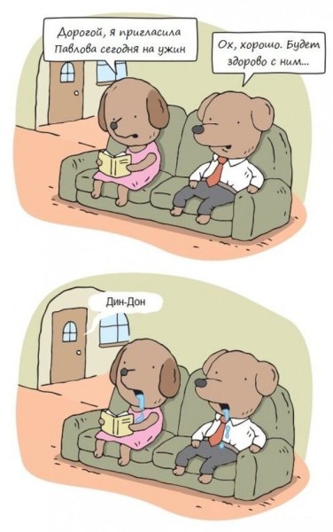 Смешные картинки про психологов