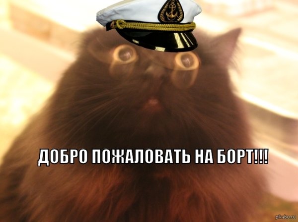 Доброе пожаловать котик