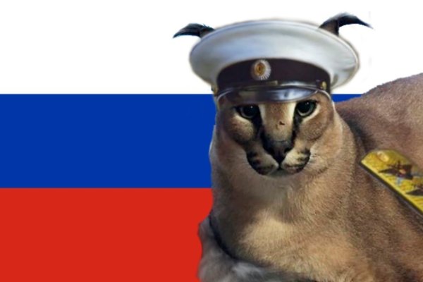 Кот с флагом России