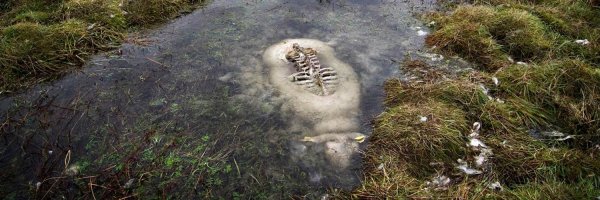 Хлебное болото Лейпясуо