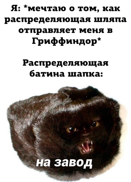 Мемы с шапкой батиной