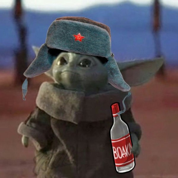 Кот в шапке ушанке