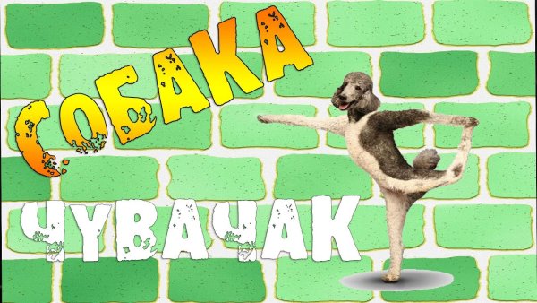 Танцующая собака на зеленом фоне