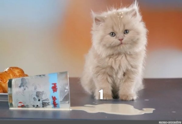 Я русский котенок