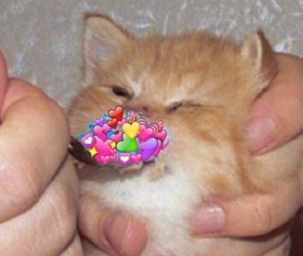 Котенок с сердечком